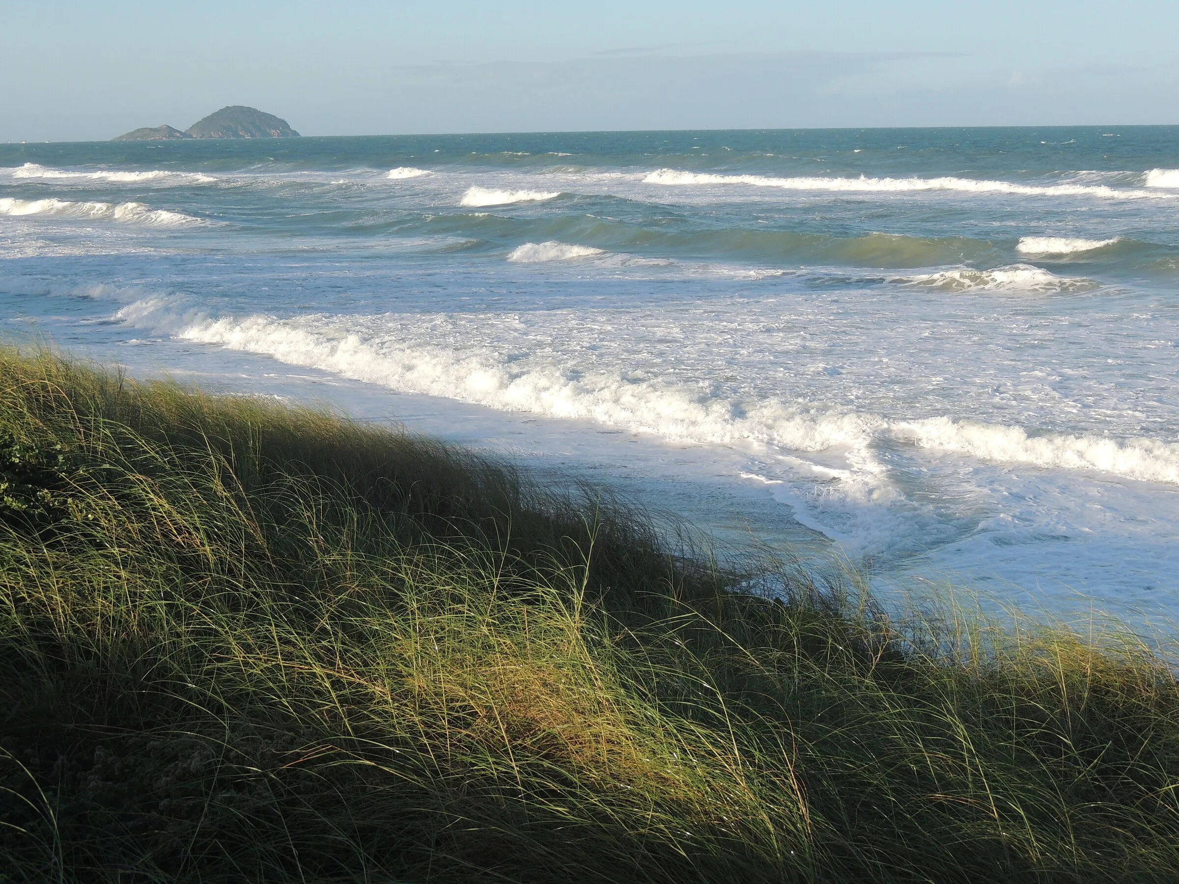 Praia do Moçambique e a mata do norte da Ilha de Florianópolis